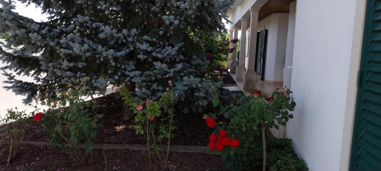 Casa Com Alma By Lovelystay *
